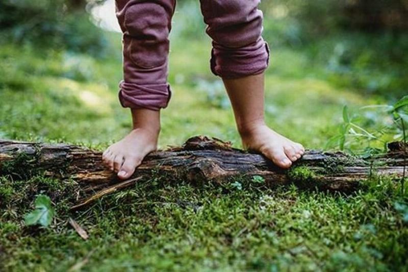 Một gia đình Việt Nam đang vui vẻ cùng nhau trồng cây xanh trong chậu ở ban công hoặc sân vườn nhỏ, thể hiện sự quan tâm đến thiên nhiên và áp dụng giáo dục công dân 9 bài 15 vào đời sống.
